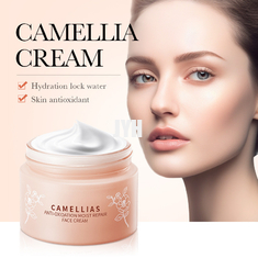 OEM huidverzorgingsproducten zonder geur Camellia Flower Anti-oxidant Moisturizing Repair Face Cream