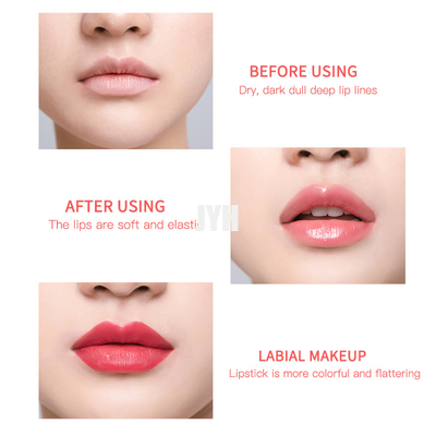 OEM de Verlichtingslip schrobt Roze de Lippenbalsem van Exfoliator en schrobt 10g