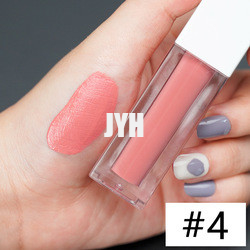 3g langdurige Lippenstift Waterdicht Matte Lipstick Red Pink