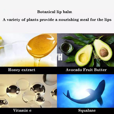 Zwarte van de Mensenskincare van de Buismunt Bevochtigende de Lippenpommade Natuurlijke Organische Veganist ISO GMPC