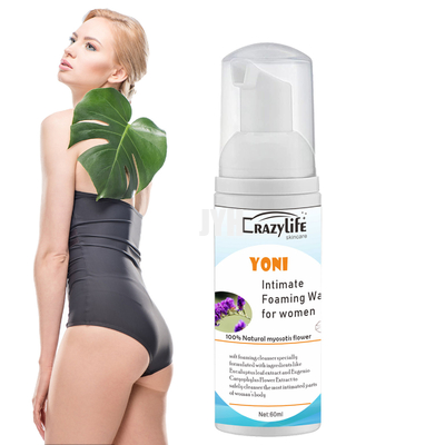 60ML de vrouwelijke Vertrouwelijke Schuimende Vrouwen Vaginal Health PH van Wassaldi