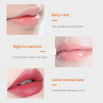 De natuurlijke het Bevochtigen van de de Veganistlippenpommade van Exfoliating van de Lippenpommadereparatie Organische Molligere Dagelijkse Zorg