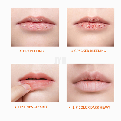 De natuurlijke het Bevochtigen van de de Veganistlippenpommade van Exfoliating van de Lippenpommadereparatie Organische Molligere Dagelijkse Zorg