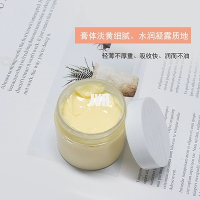 Anti Aging Moisturizer Morning Ritual Face Cream 60g met duindoornextract